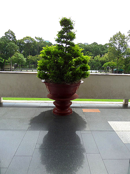 potted plant on the balcony of the Independence Palace