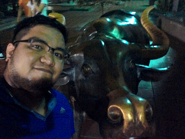 Bull sculpture on Jonker Walk